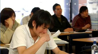 新西兰教育理念 坚决杜绝“工厂化”儿童教育，回归成长本质